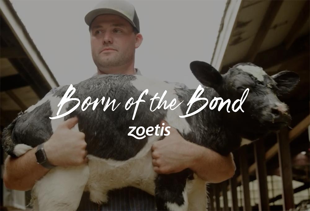 Zoetis – Bader Rutter