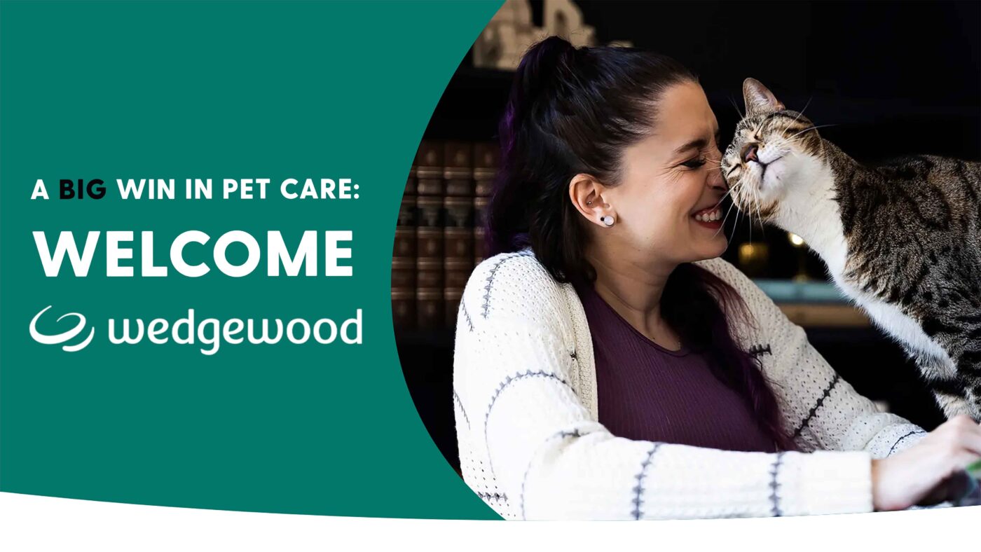 Woman smiling at a cat with text, “A big win in pet care: Welcome Wedgewood,” on a teal background.